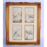 Indian School (C1920) Ivory, 4 studies of birds. Each image 8 cm x 5.5 cm.