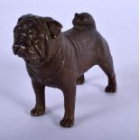 A BRONZE BULLDOG. 8 cm x 5 cm.