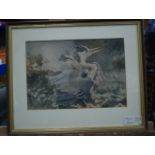 Robert Talbot Kelly (1861-1934) Watercolour, Bird in a landscape. Image 20 cm x 24 cm.