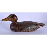 A CHARMING ANTIQUE CONTINENTAL PAINTED WOOD DUCK DECOY. 38 cm x 18 cm.