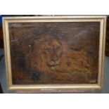 English School (19th Century) Oil on canvas, Lion and lioness. Image 36 cm x 38 cm.