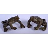 TWO JAPANESE BRONZE TOAD OKIMONO. 4 cm x 3 cm. (2)