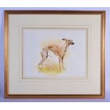 Mandy Shepherd (20th Century) Watercolour, Whippet. Image 30 cm x 38 cm.