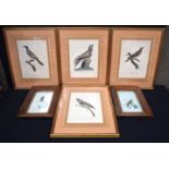 A collection of Framed Coloured French Lithographs of exotic birds 32 x 23cm (6).