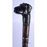 AN UNUSUAL 19TH CENTURY ANGLO INDIAN SILVER INLAID HARDWOOD DOG HEAD WALKING CANE. 90 cm long.