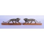 A PAIR OF 19TH CENTURY ANGLO INDIAN CARVED RHINOCEROS HORN FIGURES OF LIONS modelled upon a wooden b