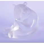 A LALIQUE FRENCH GLASS PANDA. 7 cm x 6 cm.