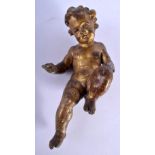 AN 18TH CENTURY CONTINENTAL GILT LACQUERED FIGURE OF A PUTTI. 30 cm x 10 cm .