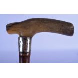 A 19TH CENTURY MIDDLE EASTERN CARVED RHINOCEROS HORN HANDLED WALKING CANE. 86 cm long.