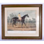 French School (19th Century) Equestrian Hunting Engravings, St Ledger Winner etc. Largest image 42 c