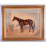 European School (C1923) Arabian Stallion, together with a portrait of Baron De Gelsey. Largest image