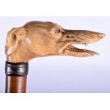 A 19TH CENTURY EUROPEAN CARVED IVORY DOG HEAD WALKING CANE modelled scowling. 85 cm long.