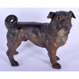 A LARGE 19TH CENTURY AUSTRIAN COLD PAINTED TERRACOTTA FIGURE OF A DOG with glass eyes. 27 cm x 24 cm