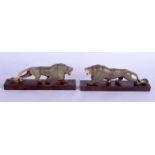 A PAIR OF 19TH CENTURY MIDDLE EASTERN CARVED RHINOCEROS HORN LIONS modelled upon wooden bases. 21 cm