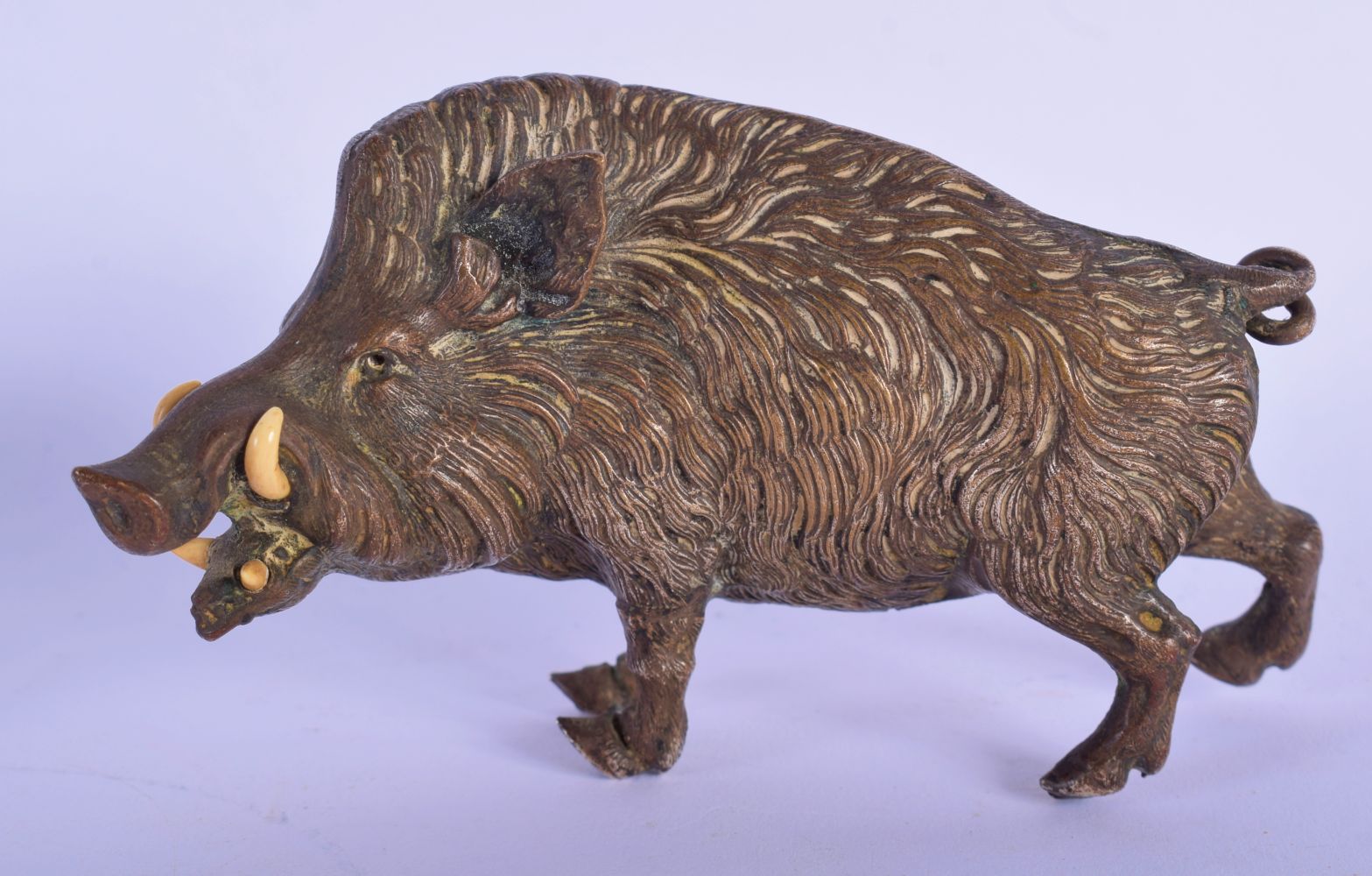 A 19TH CENTURY AUSTRIAN COLD PAINTED BRONZE FIGURE OF A HOG modelled with ivory tusks. 8 cm x 11 cm.