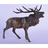 AN ANTIQUE EUROPEAN BRONZE FIGURE OF A ROAMING STAG. 24 cm x 18 cm.