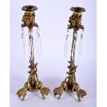 A PAIR OF 19TH CENTURY EUROPEAN GILT BRONZE LUSTRE CANDLESTICKS formed with roaming lions. 34 cm hig