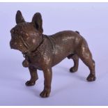 A 20TH CENTURY BRONZE BULLDOG. 7cm long, 6.5cm high.