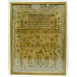 A framed Victorian sampler dated 1824. 46 x 35cm