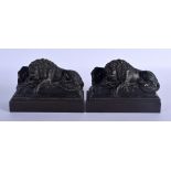 A PAIR OF ANTIQUE BRONZE AND MIXED METAL LION BOOK ENDS. 18 cm x 12 cm.