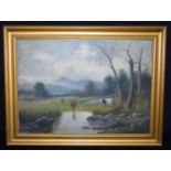 A framed oil on canvas of cattle grazing by a stream 49 x 69cm.