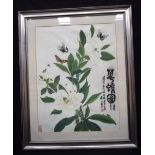 Huang Gui Yang (20th Century) A framed Chinese Watercolour of a flower and butterflies. 64 x 49cm