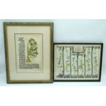 A framed antique coloured lithograph of a map of the Portsmouth to London road together with another