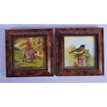 Royal Worcester artist pair of plaques painted with either a redstart or a donkey by N. Creed, both