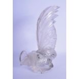 A LARGE ART DECO FRENCH LALIQUE GLASS CAR MASCOT modelled as a pearing cockerell. 21 cm x 11 cm.