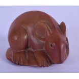 A JAPANESE WOOD NETSUKE CARVED AS A RAT. 5.2cm long, 2.5cm wide, 3cm high, weight 25g