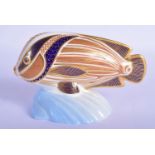 Royal Crown Derby paperweight tropical fish Sweet lips. 14cm Long