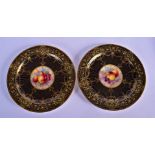 Royal Worcester rare pair of art deco style plates painted with fruit by E. Townsend, one signed, on