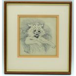 Louis Wain 1860-1939 a small framed print of a cat. 15.5 x 16 cm.