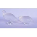 A PAIR OF FRENCH LALIQUE GLASS BIRDS. 13 cm x 13 cm.