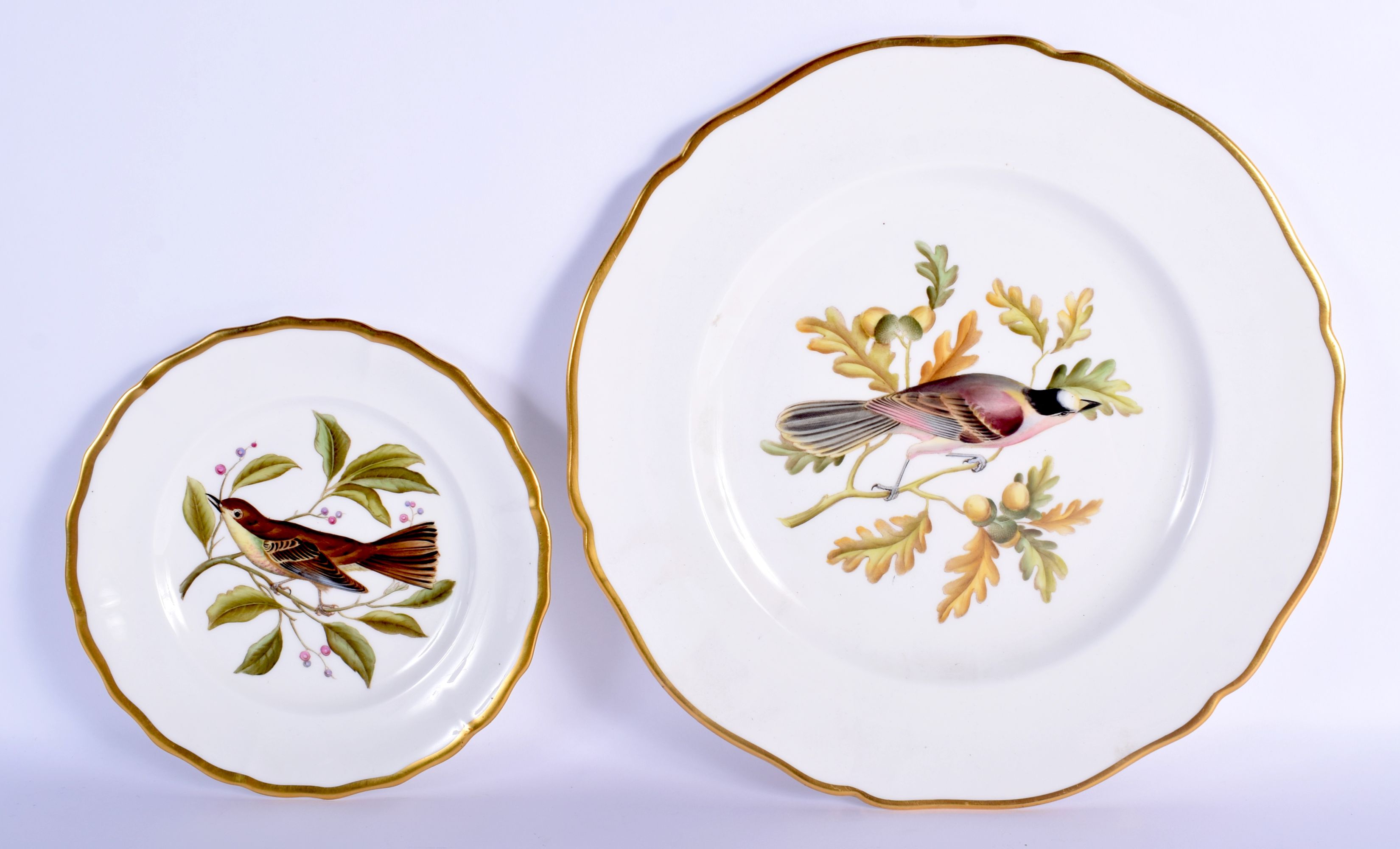 TWO SPODE BONE CHINA ORNITHOLOGICAL PLATES painted with birds. Largest 22 cm wide. (2)