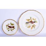 TWO SPODE BONE CHINA ORNITHOLOGICAL PLATES painted with birds. Largest 22 cm wide. (2)