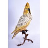 A LARGE CONTEMPORARY COLD PAINTED BRONZE FIGURE OF A BIRD modelled upon a perch. 33 cm high.