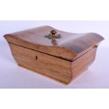 AN ANTIQUE ROSEWOOD BOX with brass fittings. 22 cm x 17 cm.