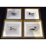 A collection of framed antique coloured engravings of Ducks 14 x 18cm (4)
