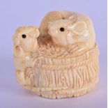 A JAPANESE BONE NETSUKE CARVED AS TWO RATS ON A BASKET. 3.5cm diameter, 3.2cm high, weight 42g
