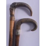 TWO 19TH CENTURY MIDDLE EASTERN CARVED RHINOCEROS HORN WALKING CANES one with silver banding. 83 cm
