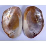AN UNUSUAL PAIR OF EARLY 20TH CENTURY CHINESE MOTHER OF PEARL SHELLS Late Qing, engraved with figure