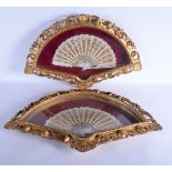 A PAIR OF 19TH CENTURY EUROPEAN MOTHER OF PEARL AND LACE FANS within a giltwood case. 75 cm x 45 cm.