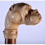 A 19TH CENTURY CONTINENTAL CARVED DOG HEAD WALKING CANE with turned wood shaft. 90 cm long.