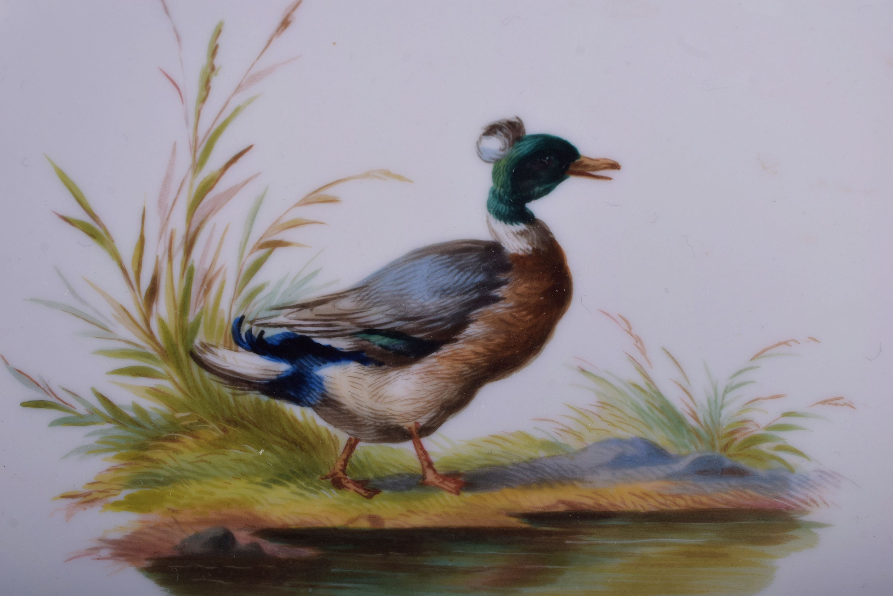 AN ANTIQUE MEISSEN RETICULATED PORCELAIN DISH painted with a duck. 24.5 cm diameter. - Image 3 of 3