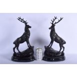 A LARGE PAIR OF CONTEMPORARY BRONZE STAGS upon marble bases. 42 cm x 15 cm.