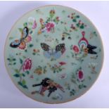 A 19TH CENTURY CHINESE CANTON FAMILLE ROSE CELADON PLATE enamelled with butterflies and foliage. 24