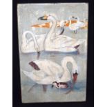 A Continental Oil on board depicting Swans 60 x 80 cm.