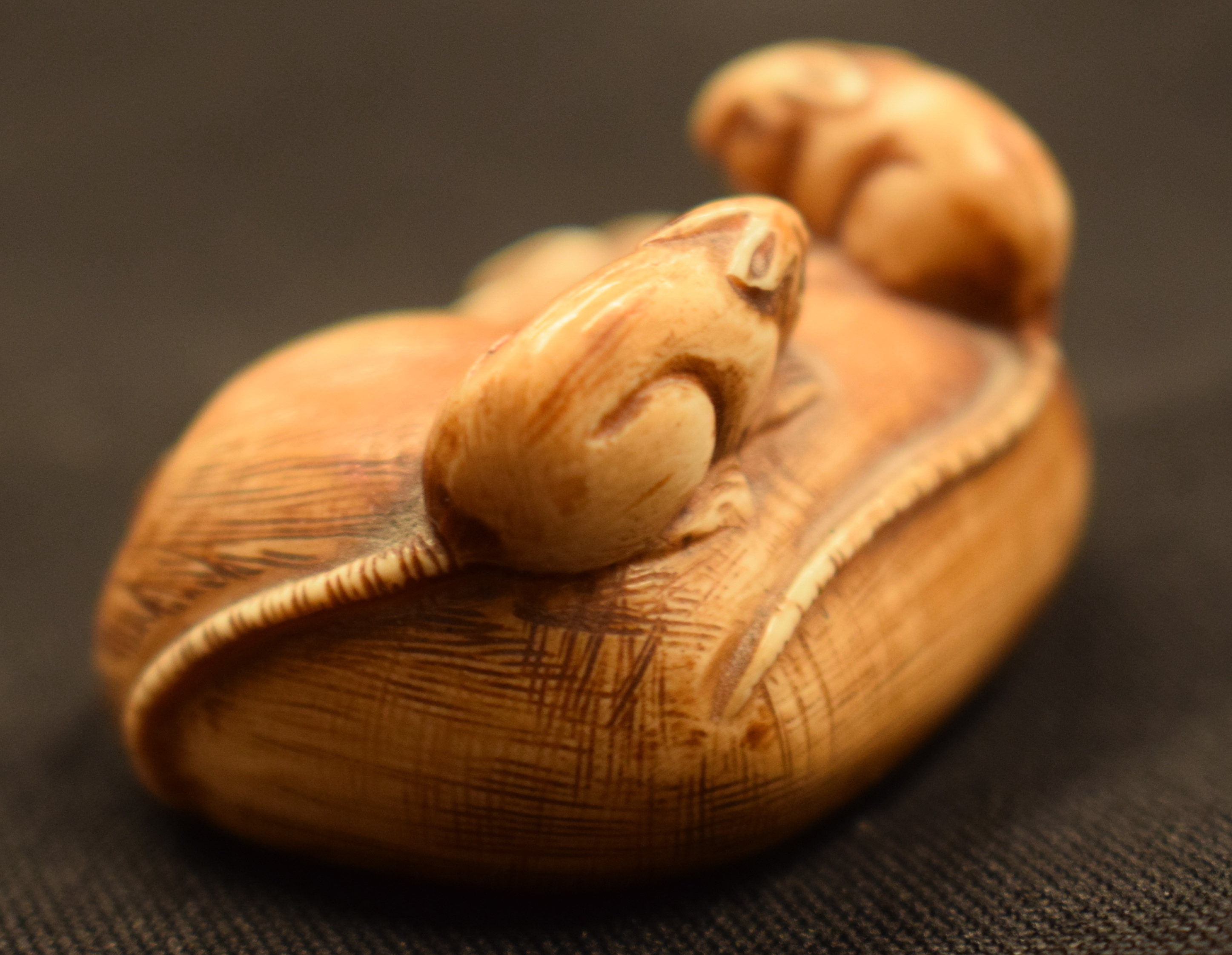 AN 18TH/19TH CENTURY JAPANESE EDO PERIOD CARVED STAG ANTLER MANJU NETSUKE together with a stone nets - Image 16 of 19