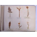 French School (19th Century) Book, Studies of Fauna and Plant Specimens 32 cm x 25 cm.